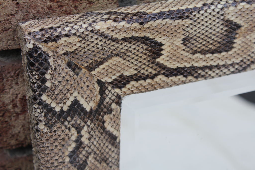 Mirror 1980's Python Snakeskin covered mirror