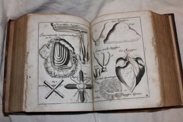 Rare 1673 medical, philosophical book paranormal discussion 5