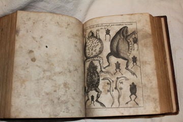 Rare 1673 medical, philosophical book paranormal discussion 3