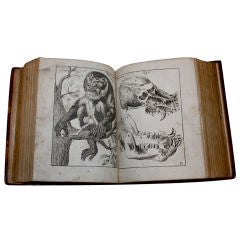 Rare 1673 medical, philosophical book paranormal discussion