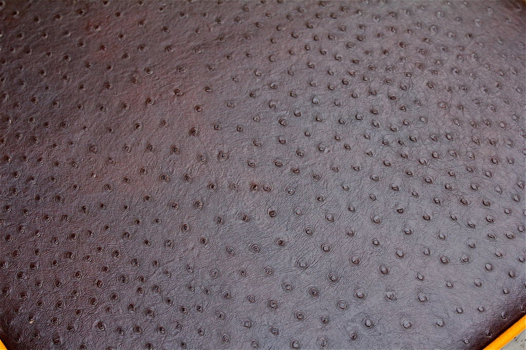 20th Century Nice Ostrich patterned Leather ottoman