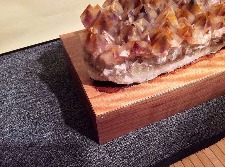Rare Large Specimen of Mariposa Butterfly, Calcite Mounted 2