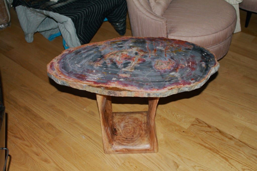 A magnificent Arizona Petrified wood slab that is millions of years old on a newer artisan made wood base. Arizona petrified has absorbed many minerals which lead to its wonderful coloration. There is quite a bit of indonesian petrified wood on the
