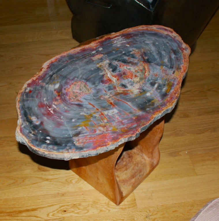 American Arizona Petrified wood table