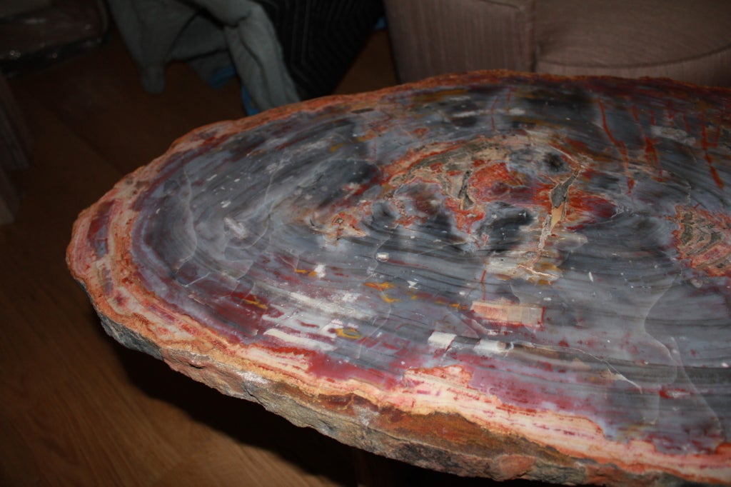 Arizona Petrified wood table 2
