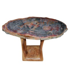 Antique Arizona Petrified wood table
