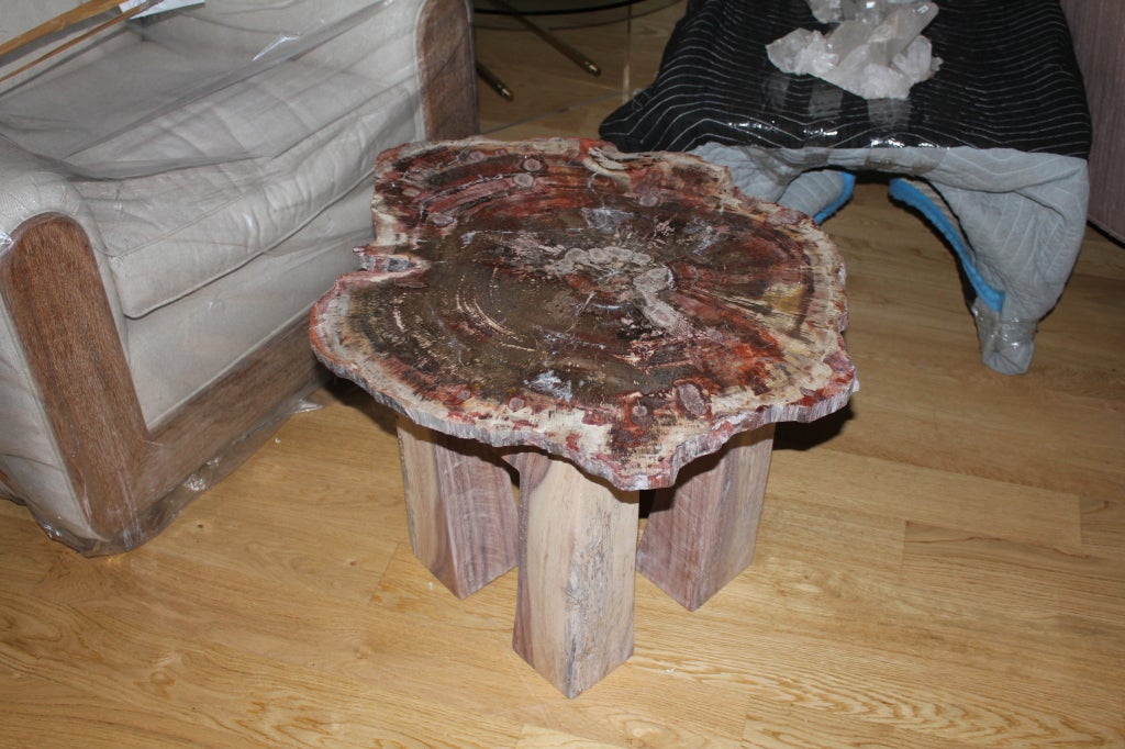 Arizona petrified wood table with new artisan base.