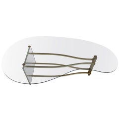 Glass brass and lucite bi-morphic coffee table