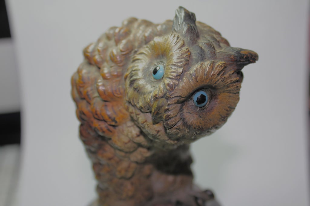 Cold Painted Vienna Bronze Owl