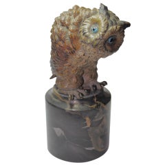 Cold Painted Vienna Bronze Owl