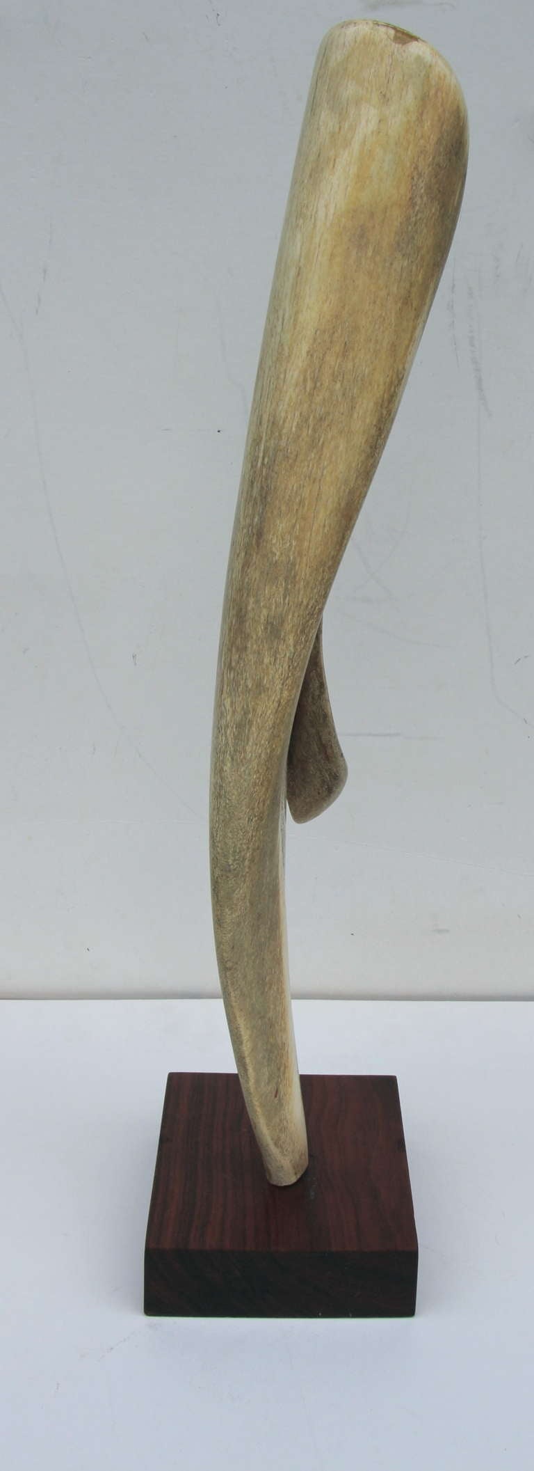 Wood Alex Taller Abstract Bone Sculpture For Sale