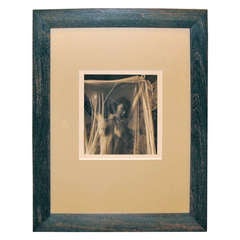 Sepia Toned Photograph of a Nude Woman in Mesh 12