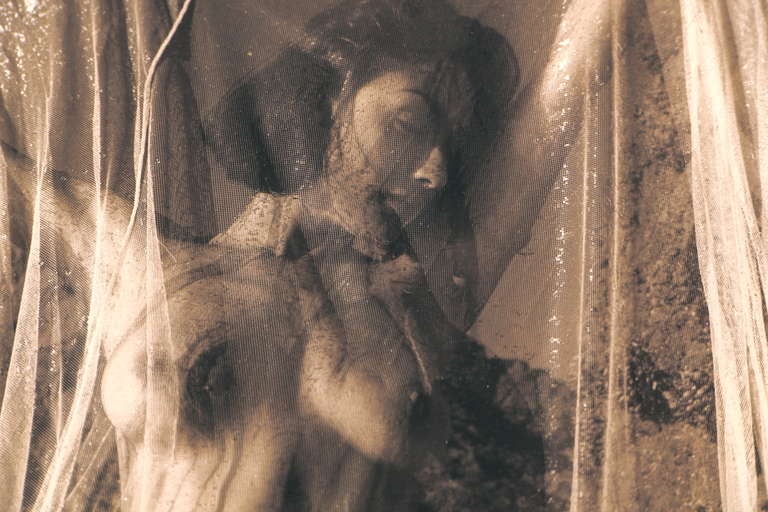 Sepia Toned Photograph of a Nude Woman in Mesh In Good Condition For Sale In Palm Springs, CA