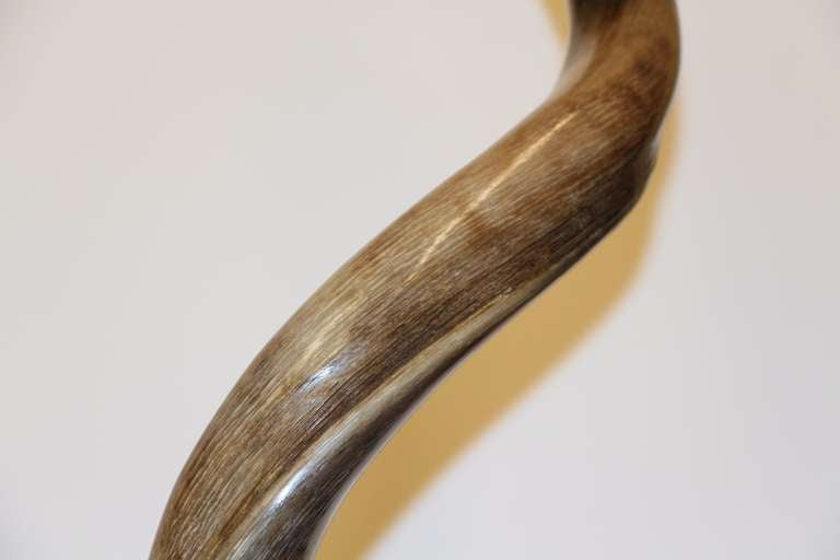 Jonson Cornell Ltd Kudu Head with Malachite Inlay 3