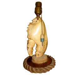 Lobster Claw Lamp