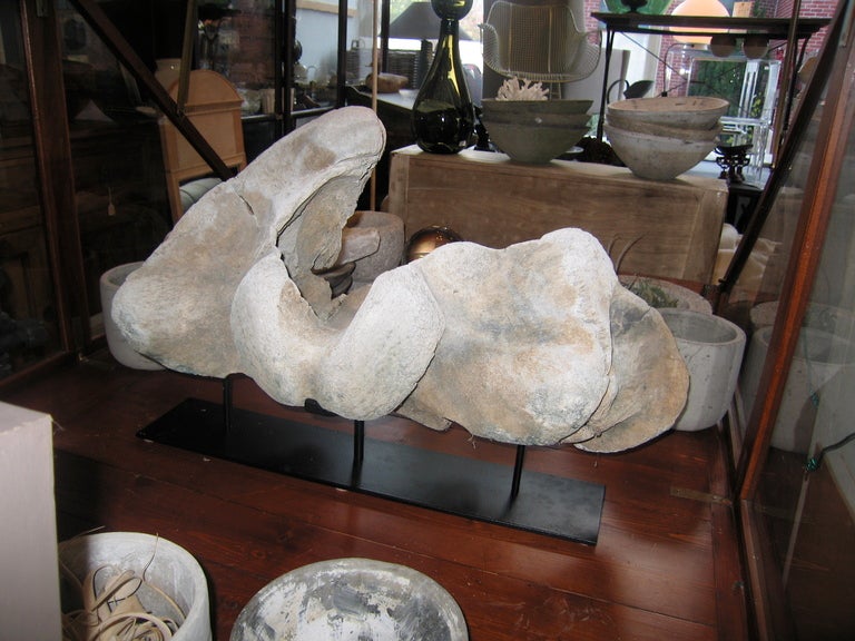 Whale Vertebrae on Steel Stand In Good Condition In Sag Harbor, NY