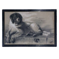 Antique Portrait of a Landseer Newfoundland