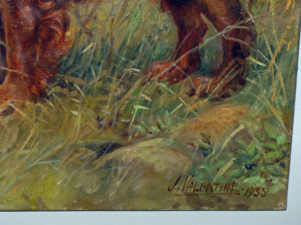 Oil of Water Spaniel