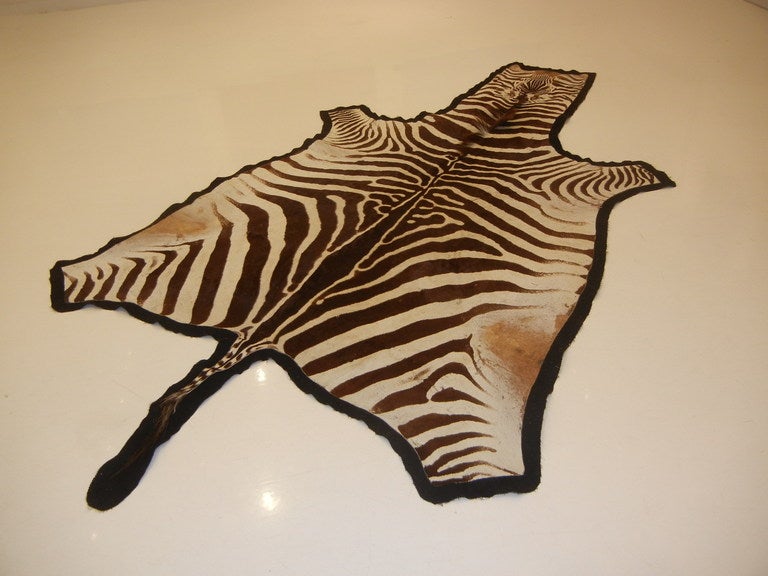 Zebra Hide Chocolate Brown and Cream 10FT. Zebra Skin/Hide Rug