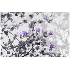 "The Fullest Bloom Royal Tint, " Framed Limited Edition Tinted Photograph by Layla Love, Companion Piece Available
