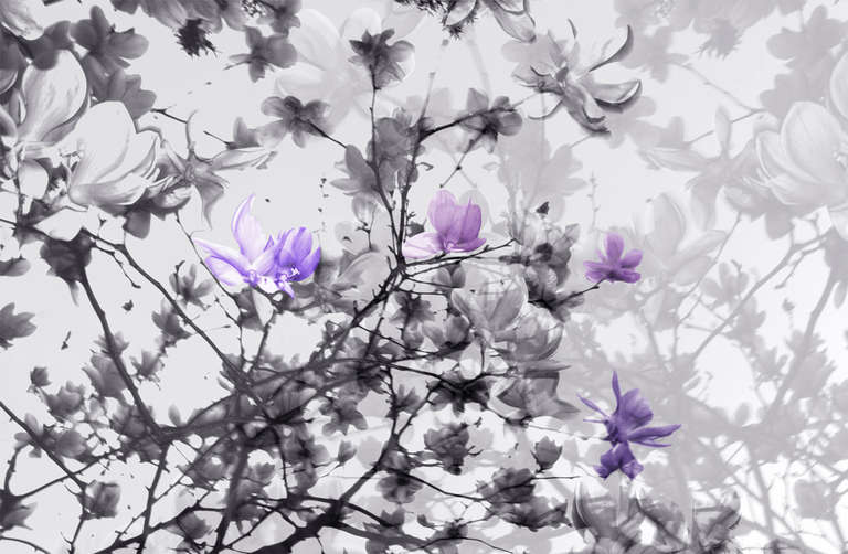 "The Fullest Bloom, " Framed Limited Edition Black & White Photograph by Layla Love, Companion Piece Availabe.