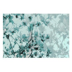 "The Fullest Bloom Illuminated," Framed Photograph by Layla Love 2