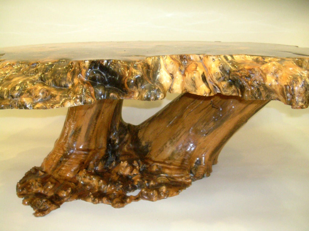 American Vintage Cross-Sectioned Tree Trunk  & Root Coffee Table