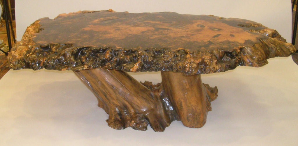 Mid-20th Century Vintage Cross-Sectioned Tree Trunk  & Root Coffee Table
