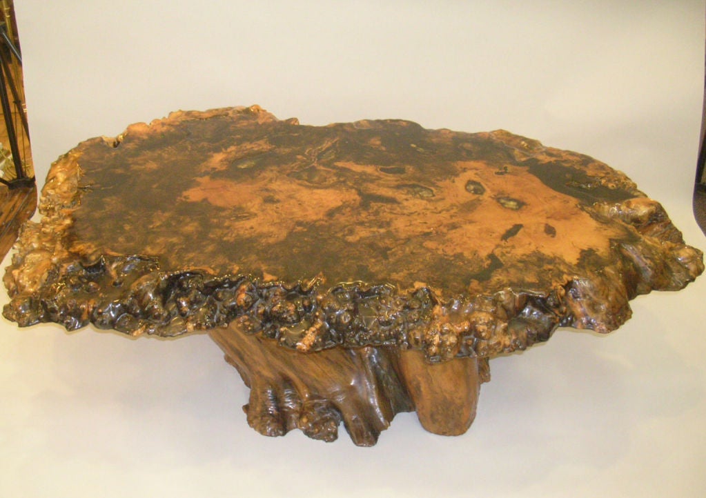 Vintage Cross-Sectioned Tree Trunk  & Root Coffee Table 1