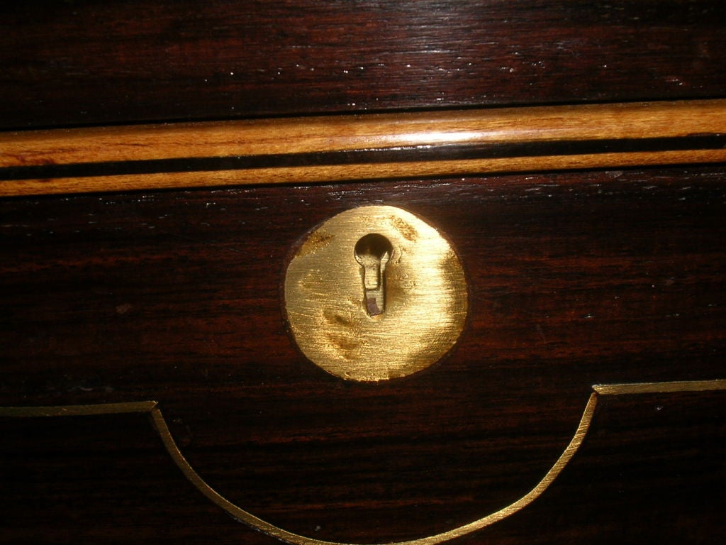 19C Anglo-Indian Rosewood, Brass & Satinwood Campaign Chest 5