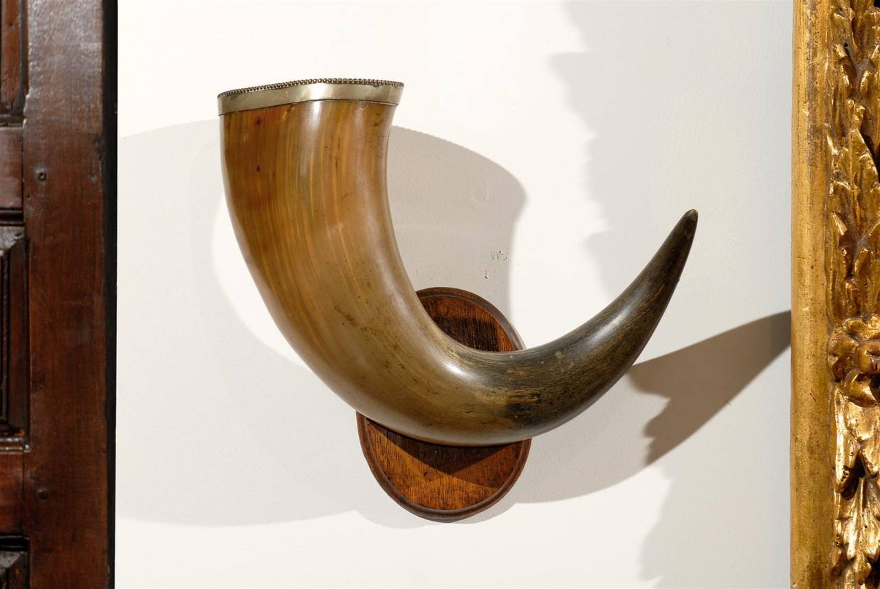 Pair of English Late 19th Century Horns with Silver Rim, Mounted on Wooden Plate For Sale 7