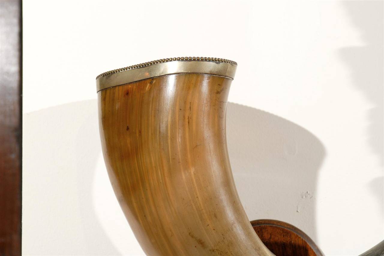 Pair of English Late 19th Century Horns with Silver Rim, Mounted on Wooden Plate For Sale 4