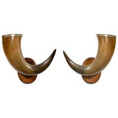 Pair of Mounted Horns 6