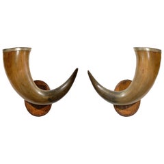 Pair of English Late 19th Century Horns with Silver Rim, Mounted on Wooden Plate