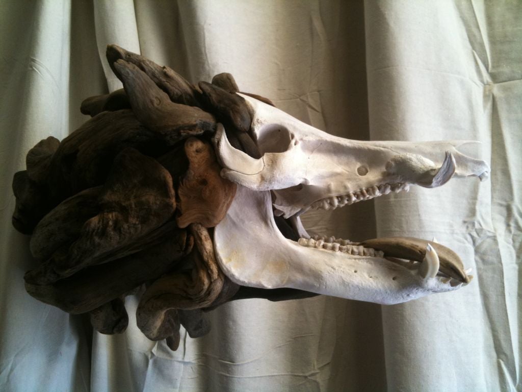 matt torrens new series, natural skull w/driftwood body.  beautiful.