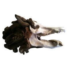 Driftwood Boar Sculpture