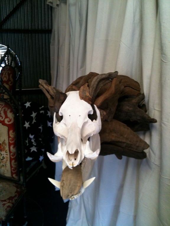 Driftwood Boar Sculpture For Sale 1
