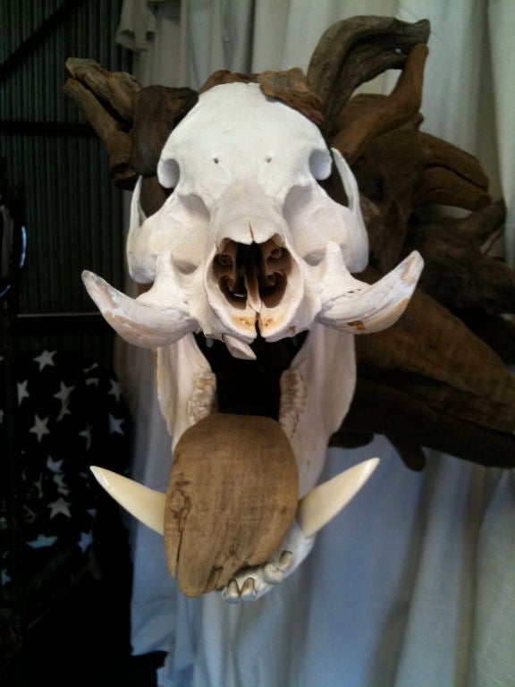 Driftwood Boar Sculpture For Sale 2
