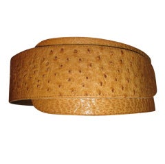 Ostrich Belt 6