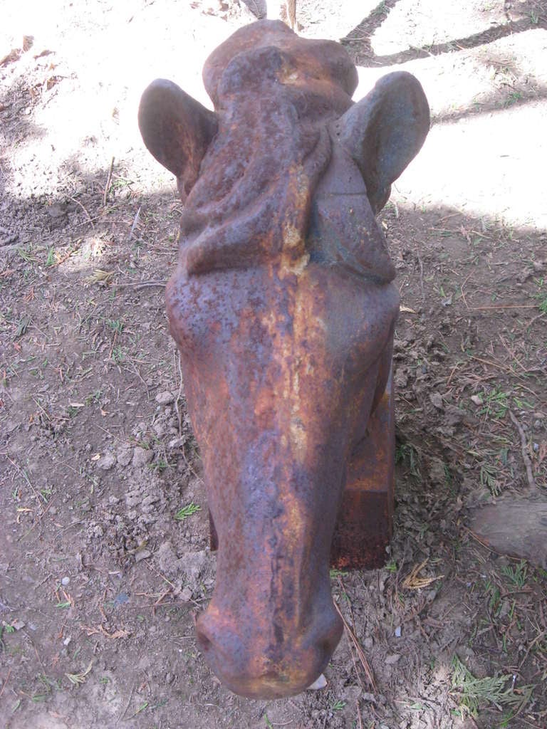 Pair of iron horse heads sculptures as garden ornaments.