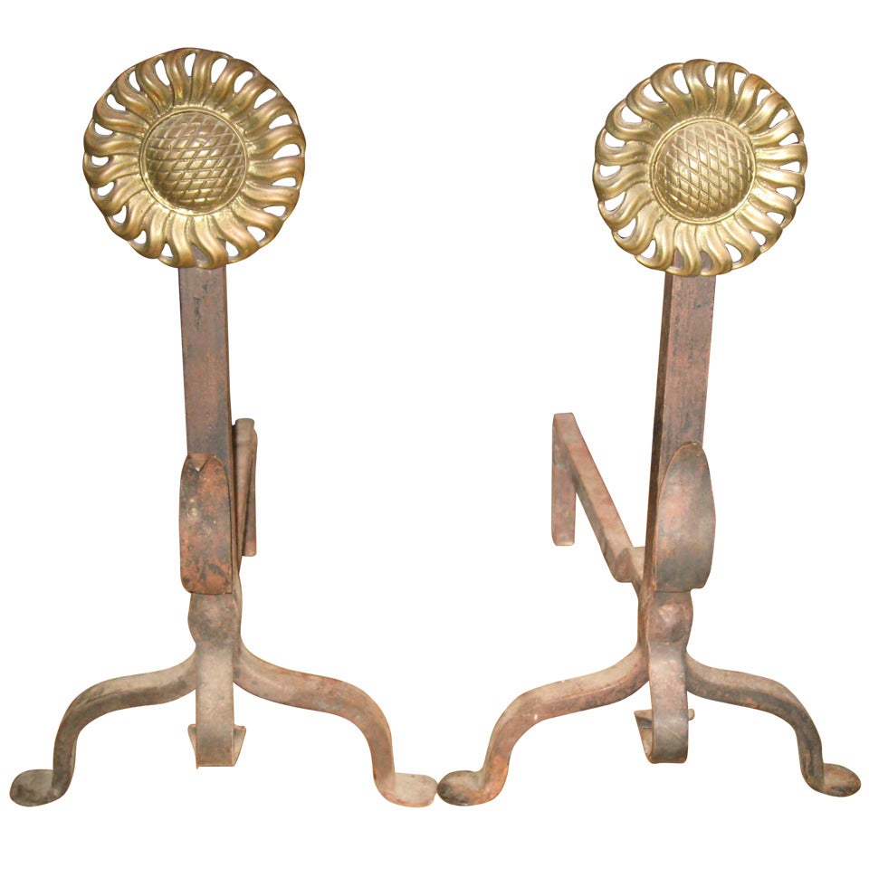 Pair of Sunflower Brass and Iron Andirons