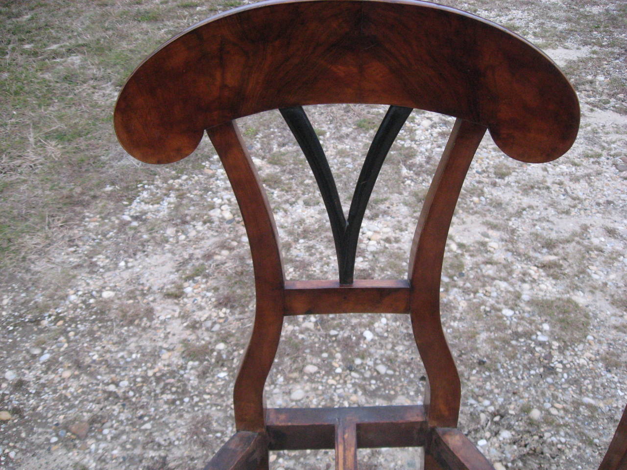 Rare Set of Six Biedermeier 19th Century Austrian Side Chairs 1