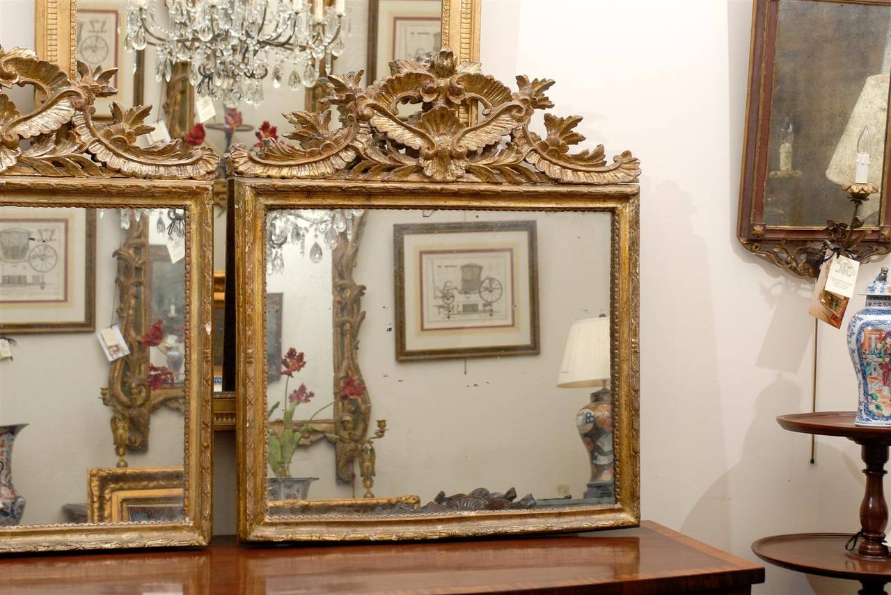 Paire de miroirs en bois doré néoclassique italien du 19e siècle en vente 6