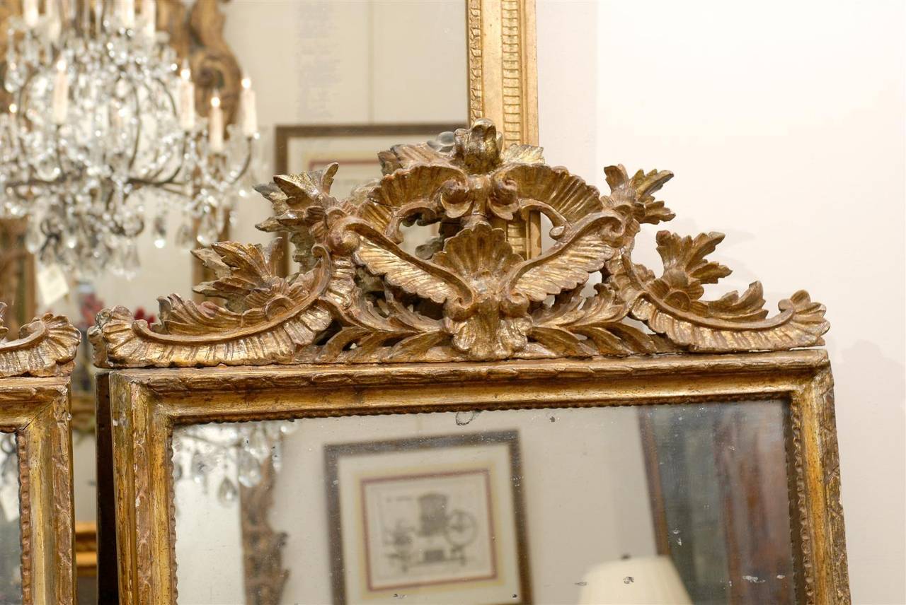 Pareja de espejos neoclásicos italianos de madera dorada del siglo XIX en venta 2