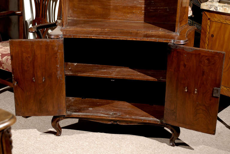 Early 19th Century Italian Walnut Bookcase with Galbe Sides 3