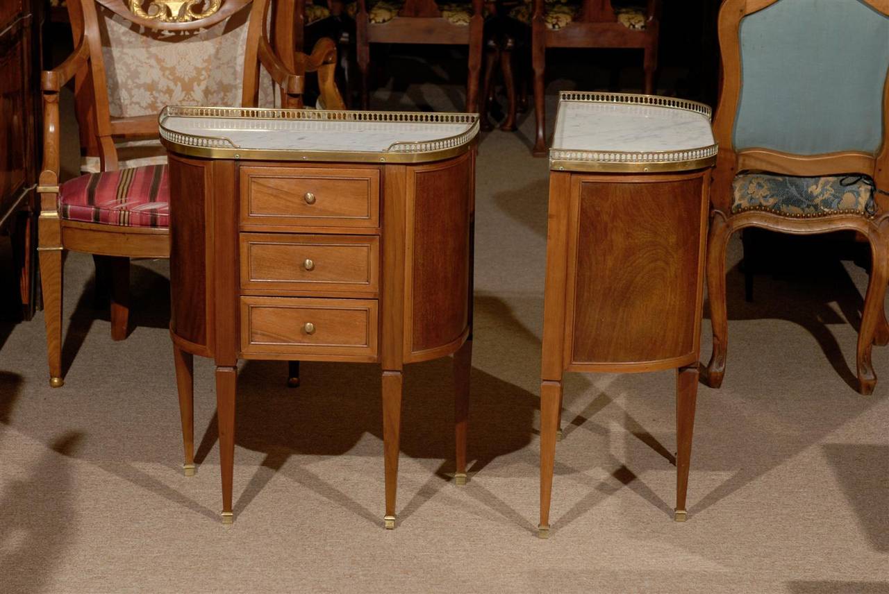Pair of Louis XVI Style Bedside Commodes, France 4