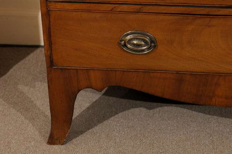 Early 19th Century English Mahogany Secretary Bookcase 5