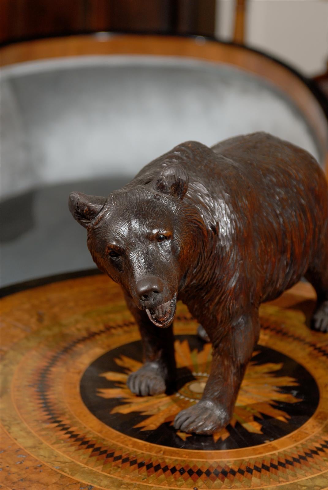 Swiss Black Forest Carved Wood Roaring Bear Sculpture from the Late 19th Century In Good Condition In Atlanta, GA