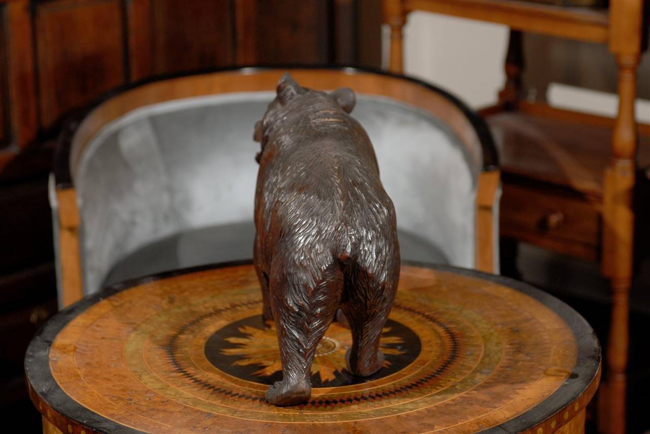 Swiss Black Forest Carved Wood Roaring Bear Sculpture from the Late 19th Century 1