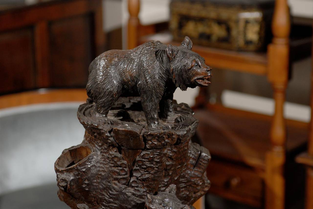 Swiss Black Forest Carved Wooden Bear Humidor from the Early 1900s 5